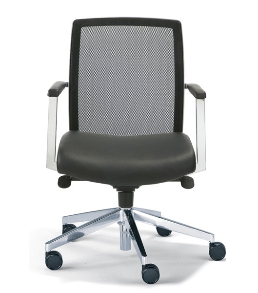 Dauphin chairs online price